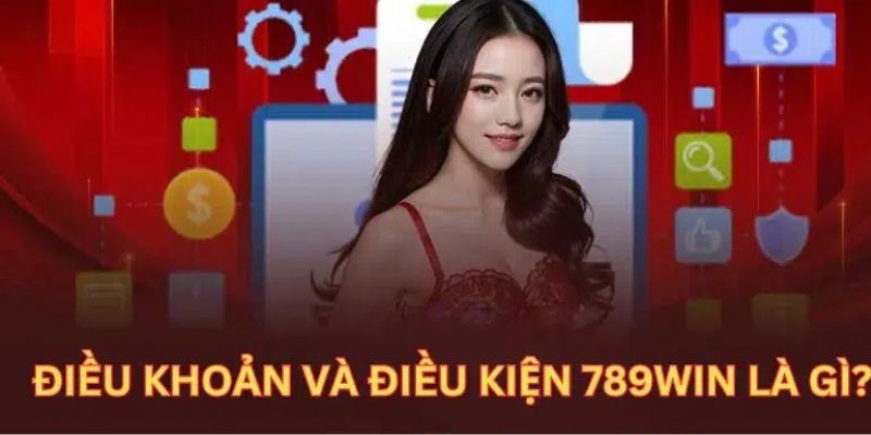 Trách nhiệm người dùng và nhà cái trong điều khoản điều kiện 