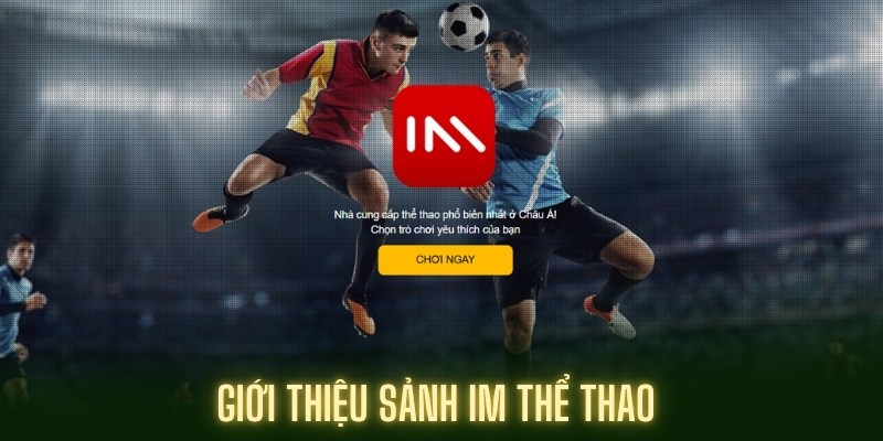 Sơ lược về sân chơi IM Thể thao